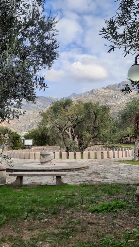 olive tree of mirovica Bar oldest olive tree in Europe