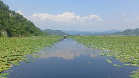 Skadar lake Shkodra Skutari lake